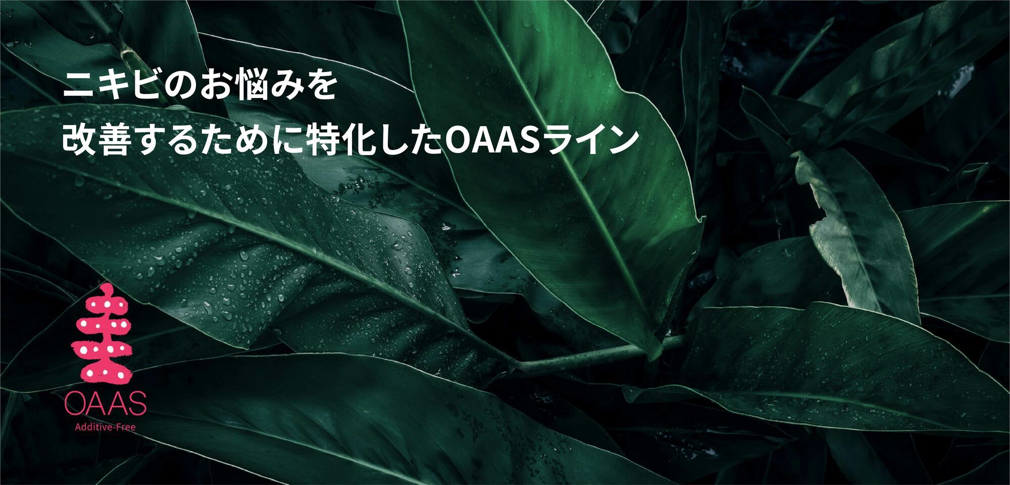 OAASについて